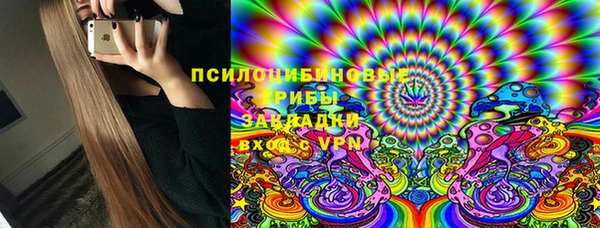 МДПВ Гатчина