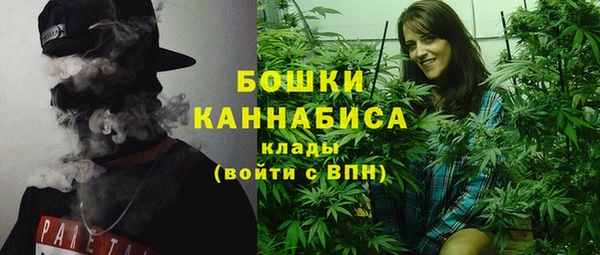 спиды Богданович