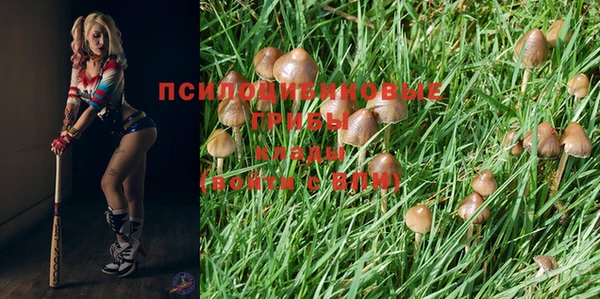 бутират Гвардейск