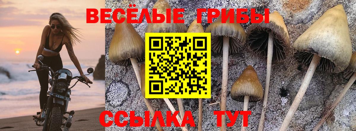 Галлюциногенные грибы Magic Shrooms  Великий Устюг 