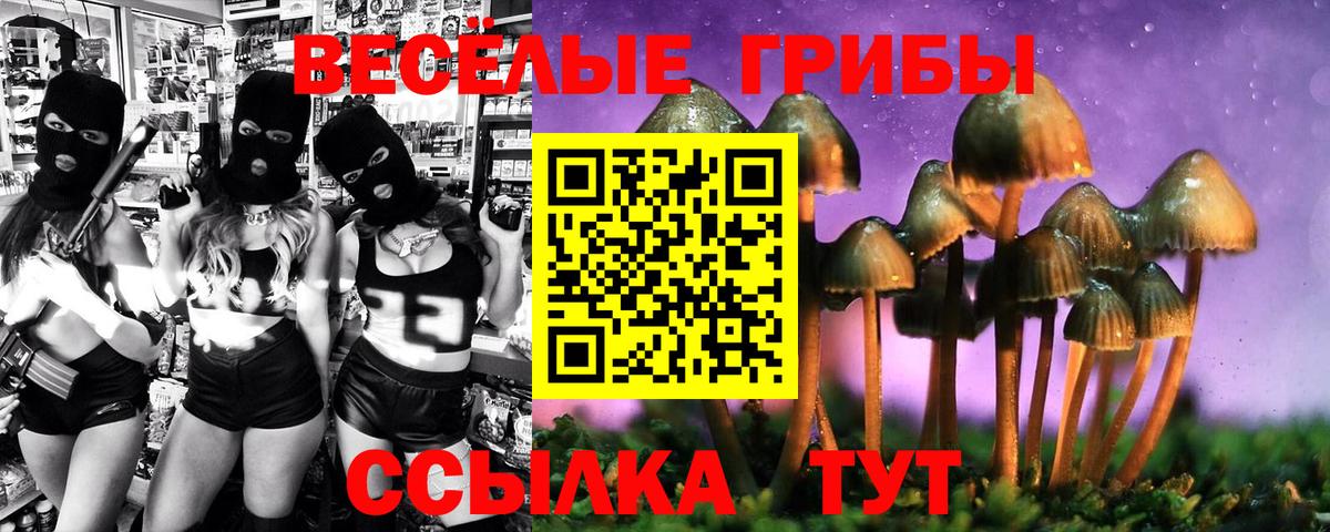 Великий Устюг  Галлюциногенные грибы ЛСД  Вход с VPN 