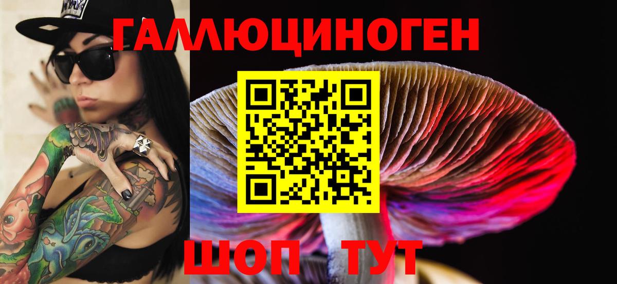 Бошки Шишки  Cocaine  Вход с VPN  Великий Устюг  Гашик  МЕФ 
