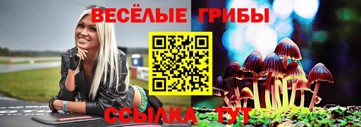 Псилоцибиновые грибы MAGIC MUSHROOMS Великий Устюг